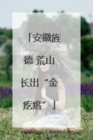 安徽旌德 荒山长出“金疙瘩”