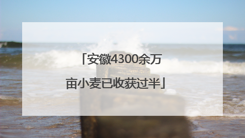 安徽4300余万亩小麦已收获过半