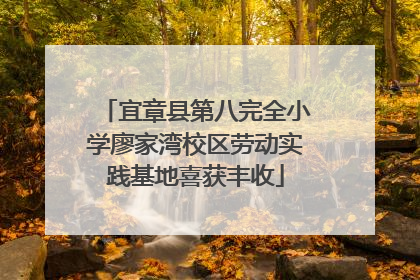 宜章县第八完全小学廖家湾校区劳动实践基地喜获丰收