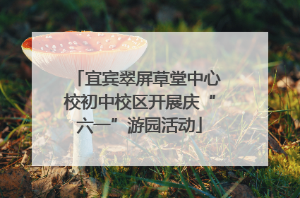 宜宾翠屏草堂中心校初中校区开展庆“六一”游园活动