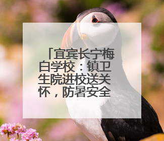 宜宾长宁梅白学校：镇卫生院进校送关怀，防暑安全知识润心田