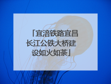 宜涪铁路宜昌长江公铁大桥建设如火如荼