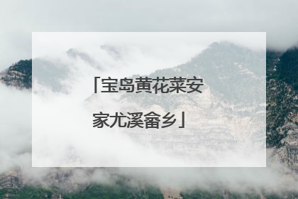 宝岛黄花菜安家尤溪畲乡