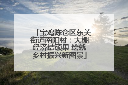 宝鸡陈仓区东关街道南阳村：大棚经济结硕果 绘就乡村振兴新图景