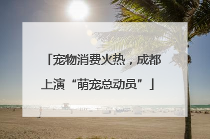 宠物消费火热，成都上演“萌宠总动员”