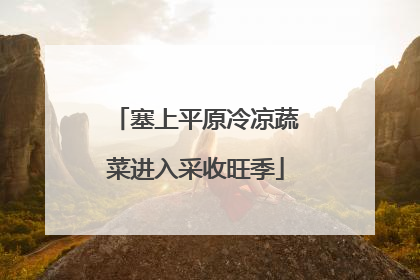 塞上平原冷凉蔬菜进入采收旺季
