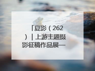夏影（262）｜上游主题摄影征稿作品展——黄红专作品