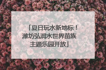 夏日玩水新地标！潍坊弘润水世界苗族主题乐园开放
