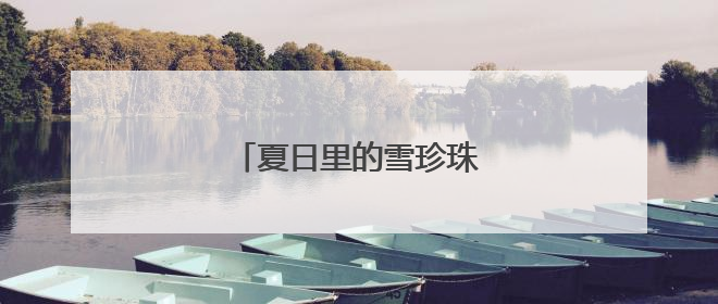 夏日里的雪珍珠——华北珍珠梅