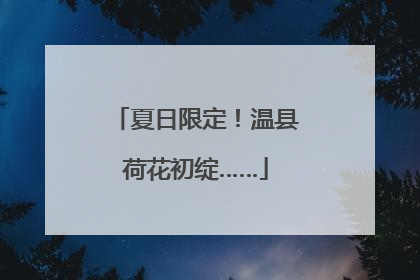 夏日限定！温县荷花初绽……