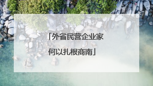 外省民营企业家何以扎根商南