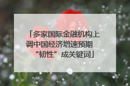 多家国际金融机构上调中国经济增速预期 “韧性”成关键词