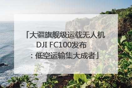 大疆旗舰级运载无人机DJI FC100发布：低空运输集大成者