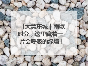 大美东城｜雨歇时分，这里藏着一片会呼吸的绿境