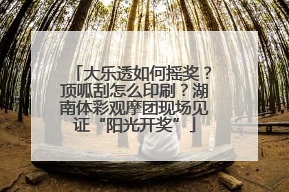大乐透如何摇奖？顶呱刮怎么印刷？湖南体彩观摩团现场见证“阳光开奖”