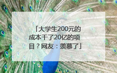 大学生200元的成本干了20亿的项目？网友：羡慕了