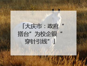 大庆市：政府“搭台”为校企银“穿针引线”