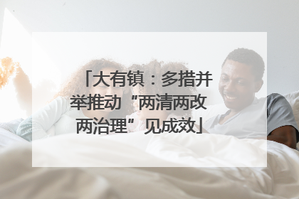 大有镇：多措并举推动“两清两改两治理”见成效