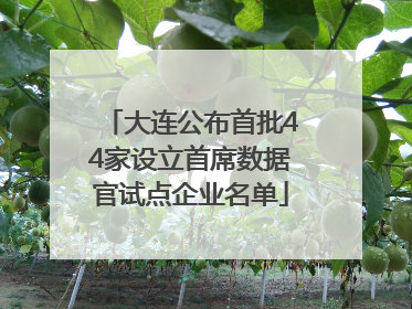 大连公布首批44家设立首席数据官试点企业名单