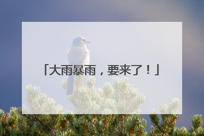 大雨暴雨，要来了！