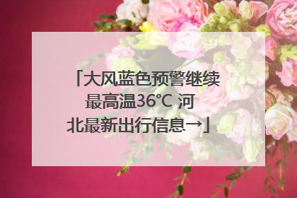 大风蓝色预警继续 最高温36℃ 河北最新出行信息→