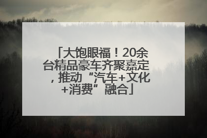 大饱眼福！20余台精品豪车齐聚嘉定，推动“汽车+文化+消费”融合