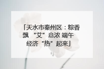 天水市秦州区：粽香飘 “艾”意浓 端午经济“热”起来