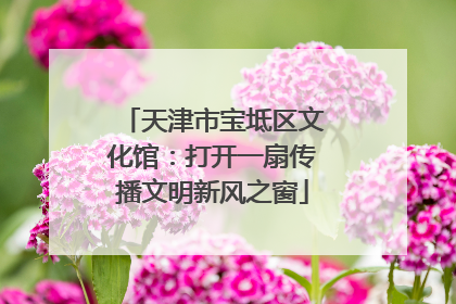 天津市宝坻区文化馆：打开一扇传播文明新风之窗