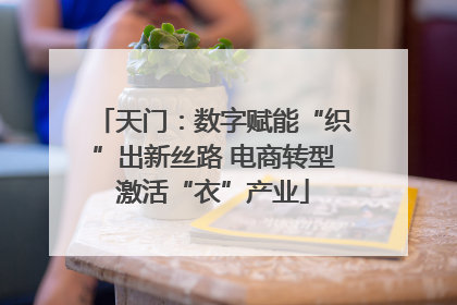 天门：数字赋能“织”出新丝路 电商转型激活“衣”产业