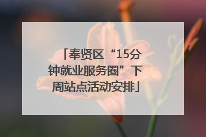 奉贤区“15分钟就业服务圈”下周站点活动安排