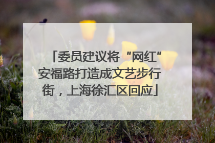 委员建议将“网红”安福路打造成文艺步行街，上海徐汇区回应