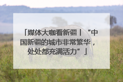 媒体大咖看新疆丨“中国新疆的城市非常繁华，处处都充满活力”