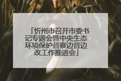 忻州市召开市委书记专题会暨中央生态环境保护督察边督边改工作推进会