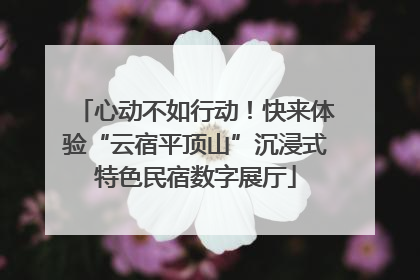 心动不如行动！快来体验“云宿平顶山”沉浸式特色民宿数字展厅