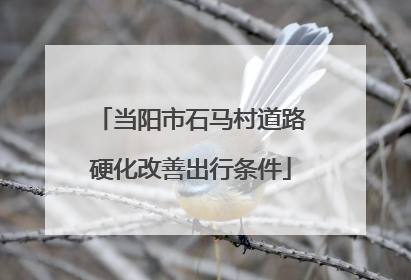 当阳市石马村道路硬化改善出行条件