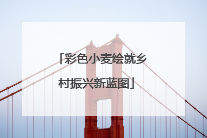 彩色小麦绘就乡村振兴新蓝图