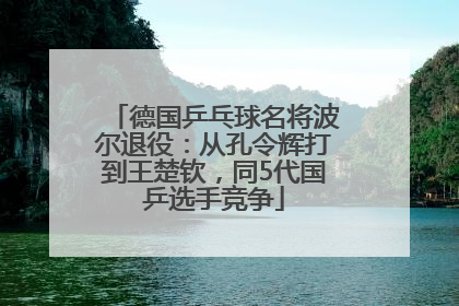 德国乒乓球名将波尔退役：从孔令辉打到王楚钦，同5代国乒选手竞争