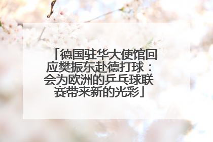 德国驻华大使馆回应樊振东赴德打球：会为欧洲的乒乓球联赛带来新的光彩