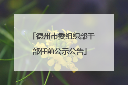 德州市委组织部干部任前公示公告