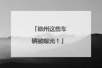 德州这些车辆被曝光！