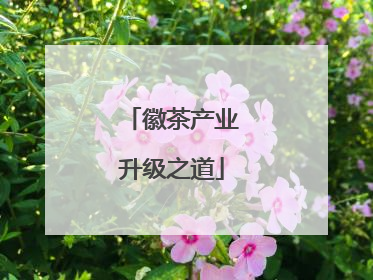 徽茶产业升级之道