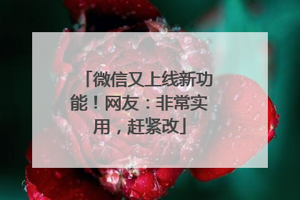 微信又上线新功能！网友：非常实用，赶紧改