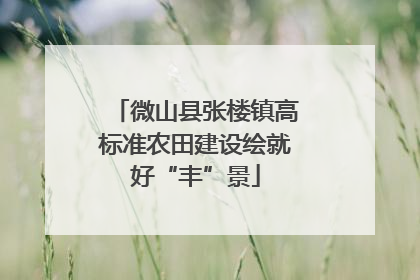 微山县张楼镇高标准农田建设绘就好“丰”景