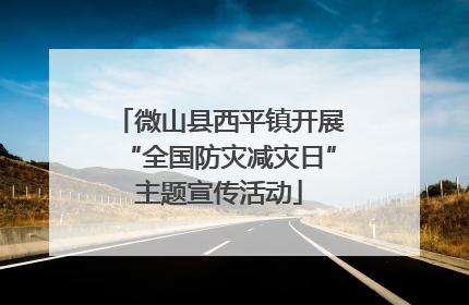 微山县西平镇开展“全国防灾减灾日”主题宣传活动