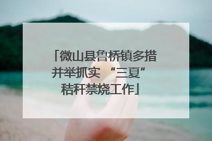 微山县鲁桥镇多措并举抓实 “三夏” 秸秆禁烧工作