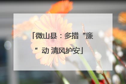 微山县：多措“廉”动 清风护安