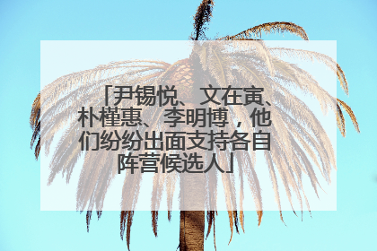 尹锡悦、文在寅、朴槿惠、李明博，他们纷纷出面支持各自阵营候选人