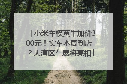 小米车模黄牛加价300元！实车本周到店？大湾区车展将亮相