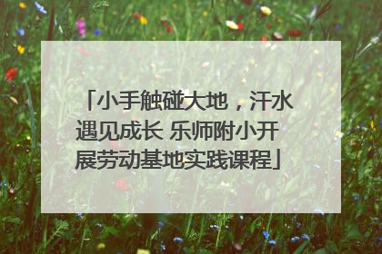 小手触碰大地，汗水遇见成长 乐师附小开展劳动基地实践课程