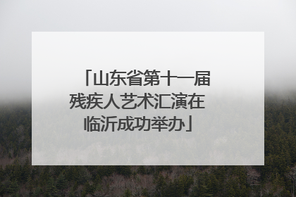 山东省第十一届残疾人艺术汇演在临沂成功举办